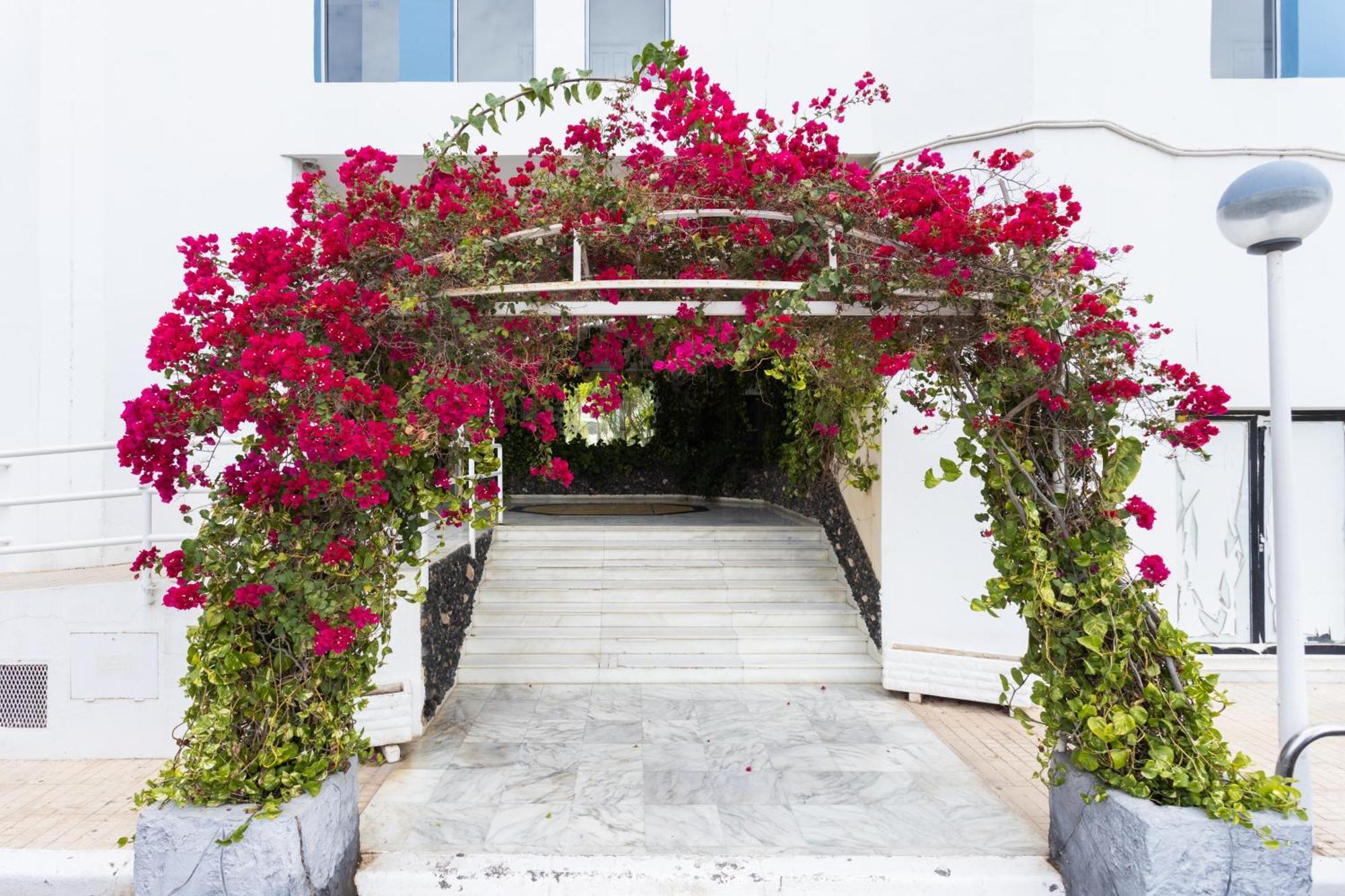 Appartement Estudio Alma San Miguel de Abona